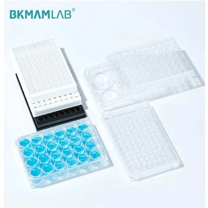 Plastic Disposable Cell Culture Plate